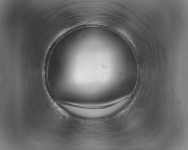 X0000073981133200609111801