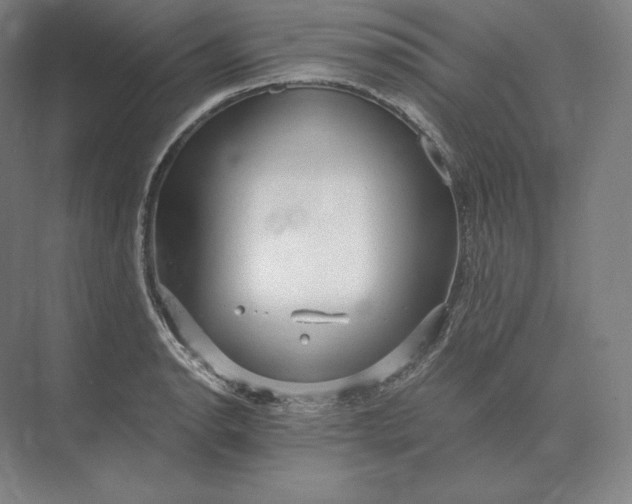 X0000073981134200609111801