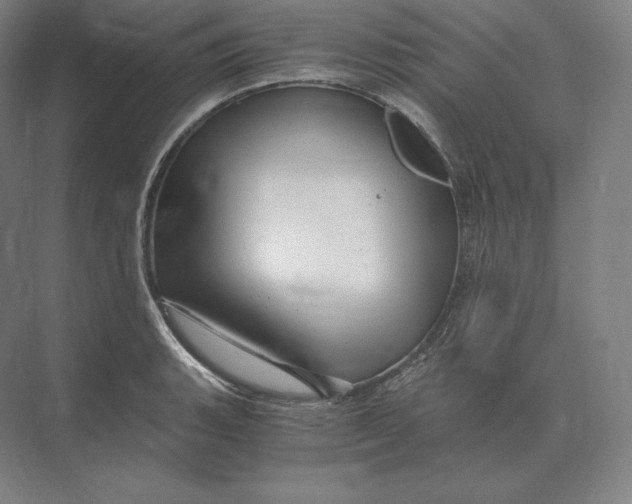 X0000073981135200609111801