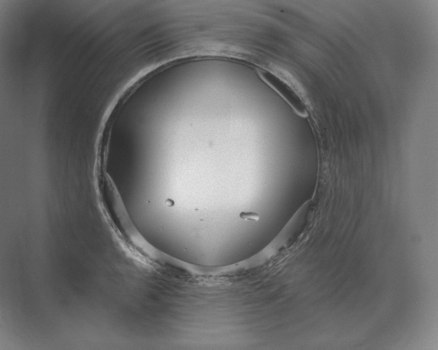 X0000073981136200609111801