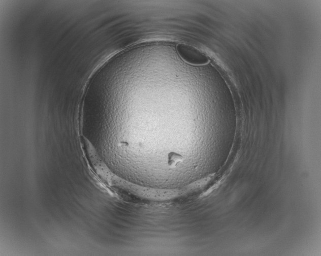 X0000073981137200609111801