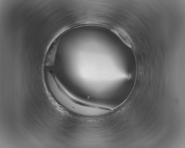 X0000073981138200609111801