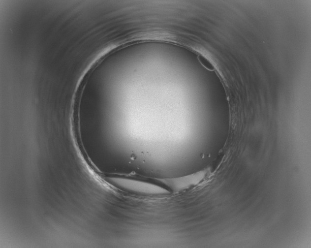 X0000073981139200609111801