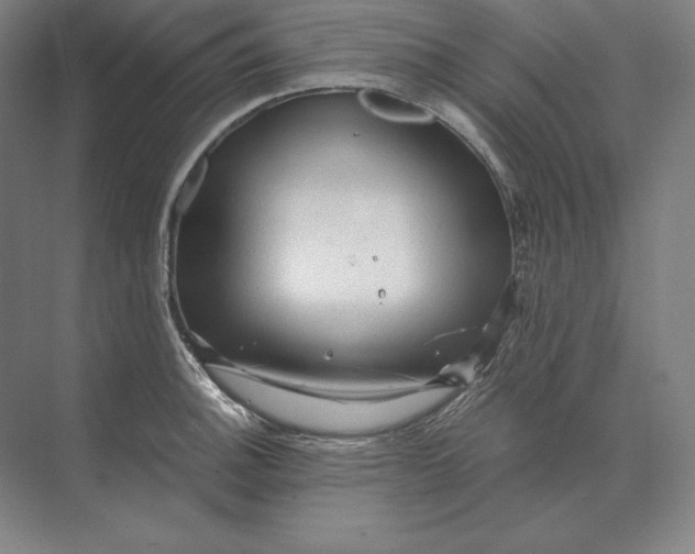 X0000073981140200609111801