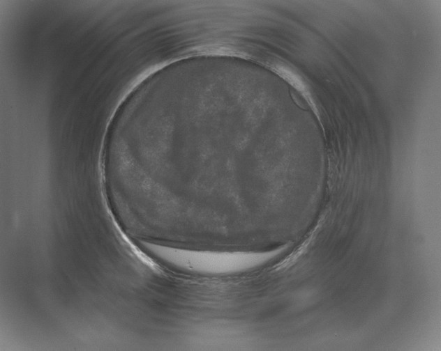 X0000073981141200609111801