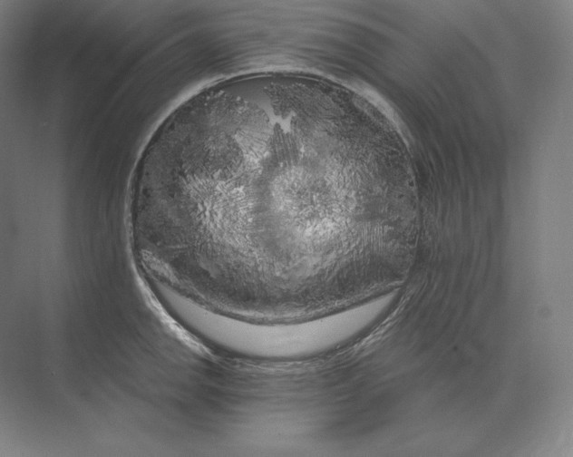 X0000073981142200609111801