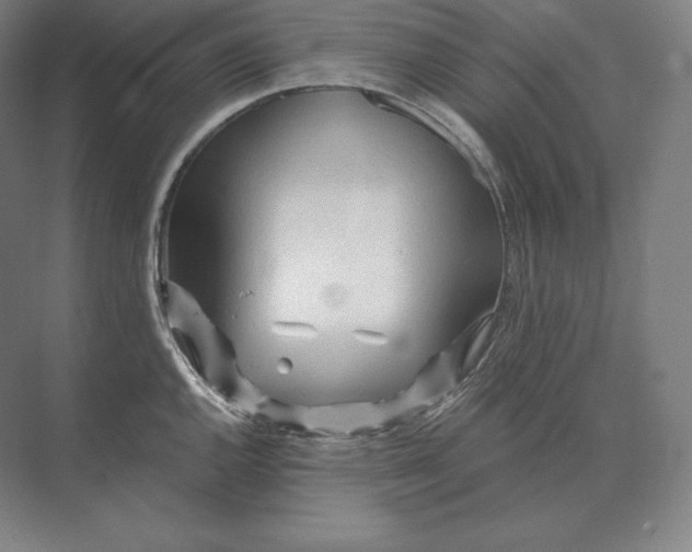 X0000073981144200609111801