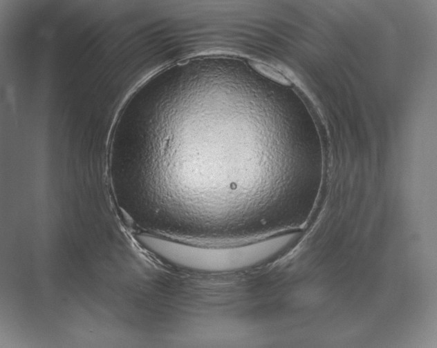 X0000073981145200609111801