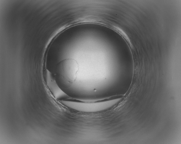 X0000073981146200609111801