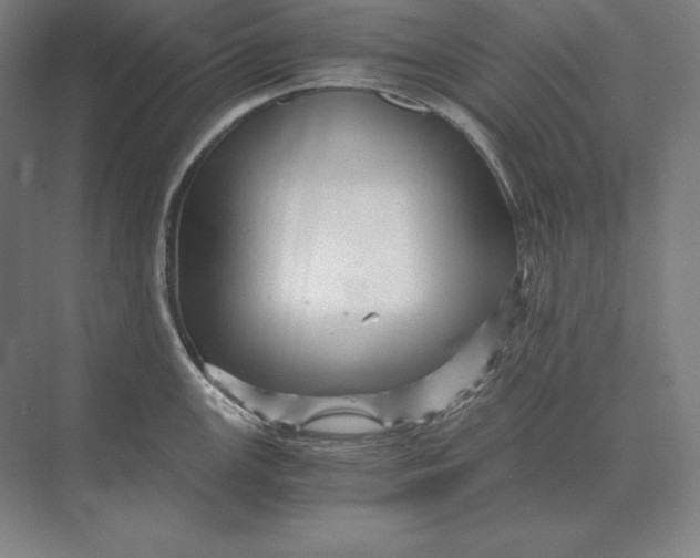 X0000073981147200609111801