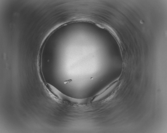 X0000073981149200609111801