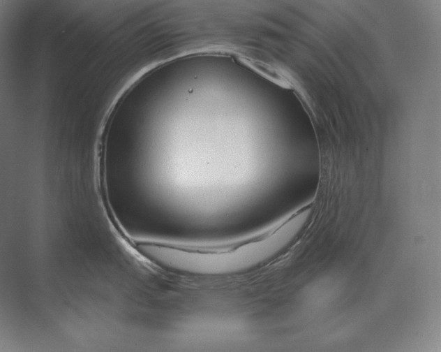 X0000073981151200609111801