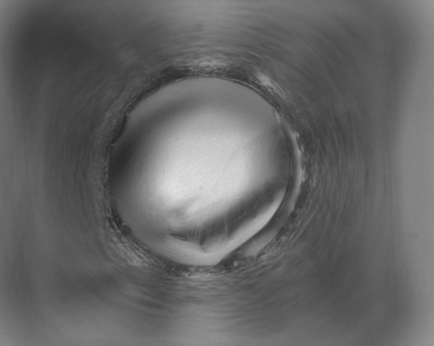 X0000073981153200609111800