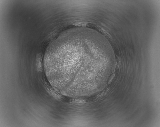 X0000073981154200609111800