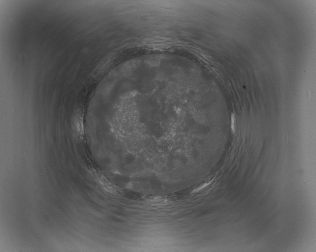 X0000073981155200609111800