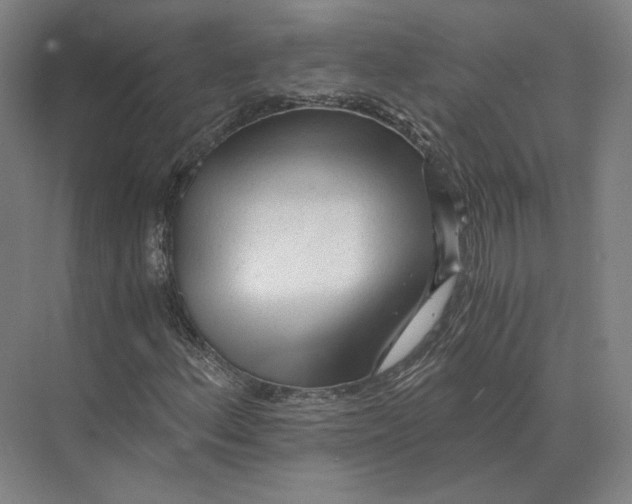 X0000073981156200609111800