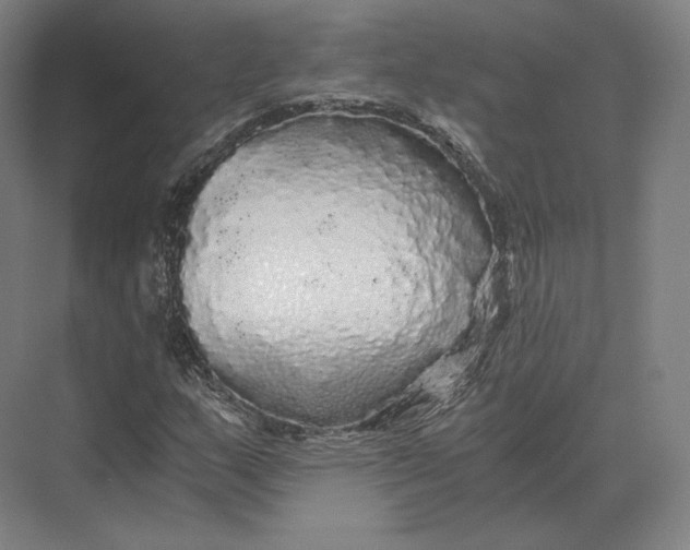 X0000073981159200609111800