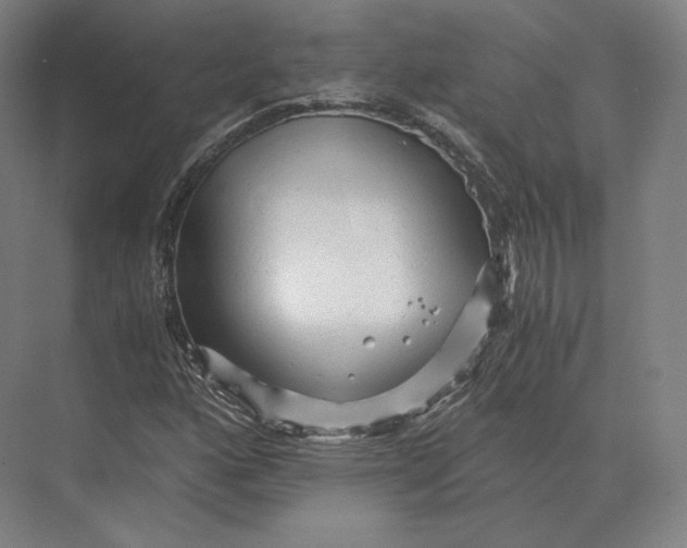 X0000073981160200609111800