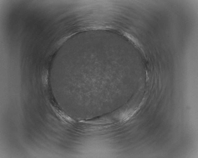 X0000073981161200609111800