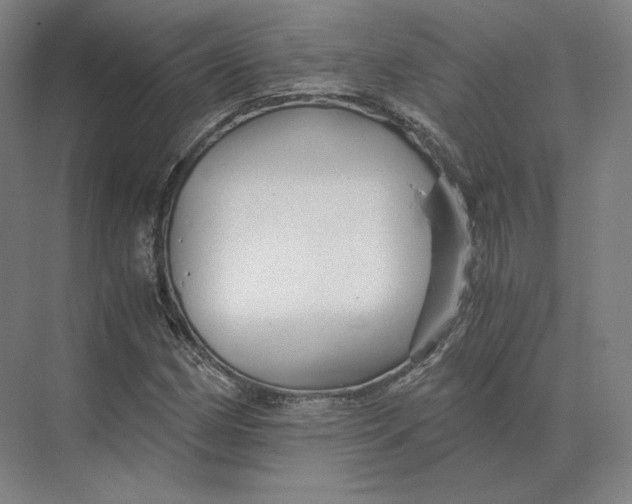 X0000073981162200609111800