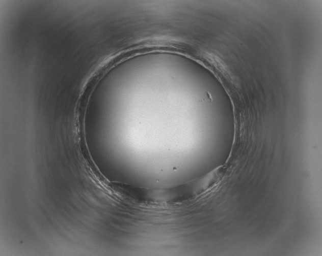 X0000073981164200609111800