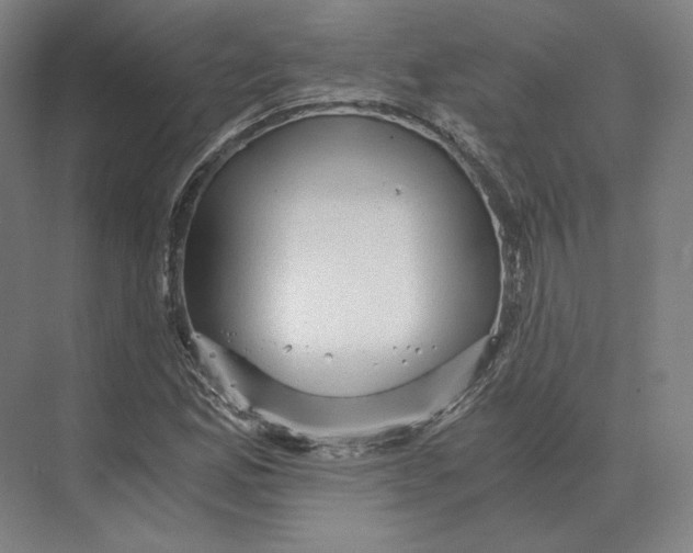 X0000073981165200609111800