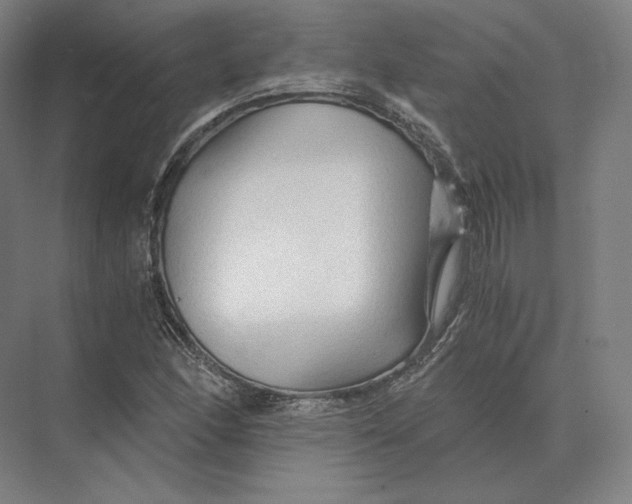 X0000073981166200609111800