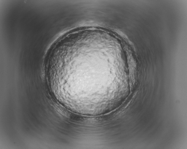 X0000073981167200609111800