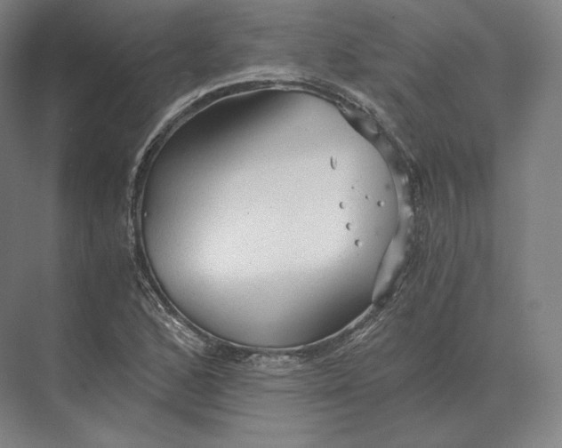 X0000073981168200609111800