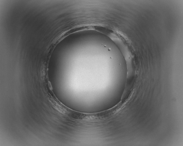 X0000073981169200609111800