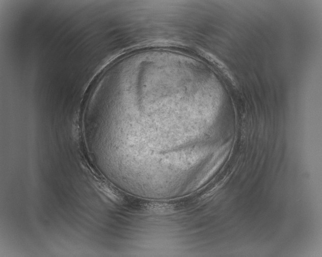 X0000073981170200609111800