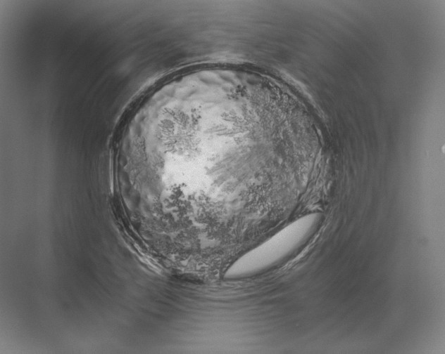 X0000073981171200609111800