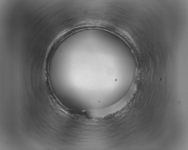 X0000073981172200609111800