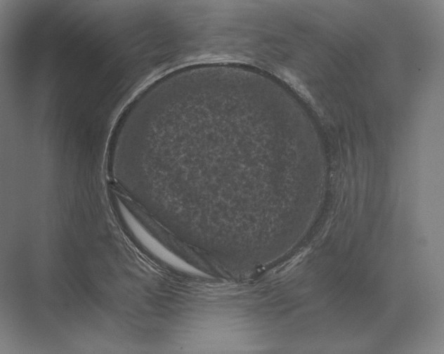 X0000073981173200609111800