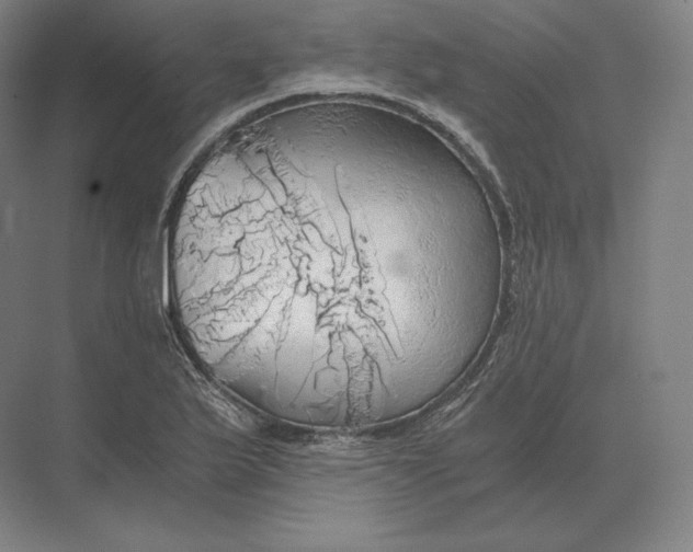 X0000073981175200609111800