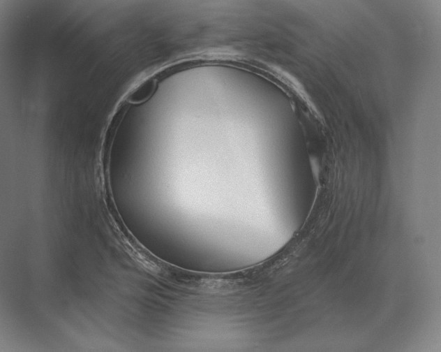 X0000073981176200609111800