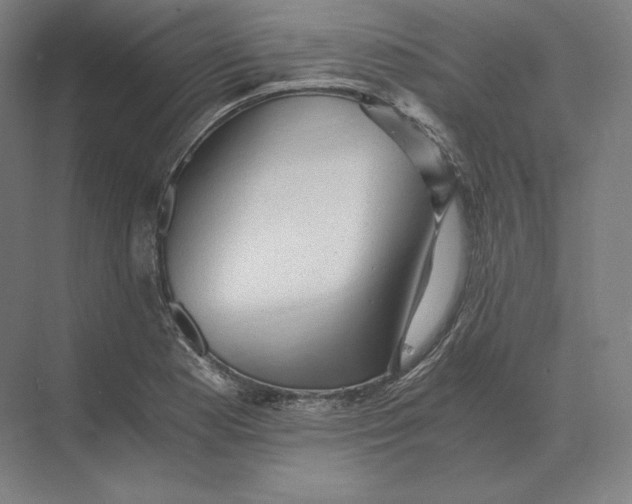 X0000073981177200609111800