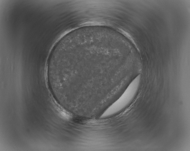 X0000073981179200609111800