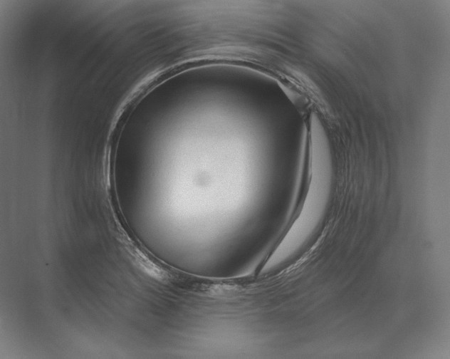 X0000073981180200609111800