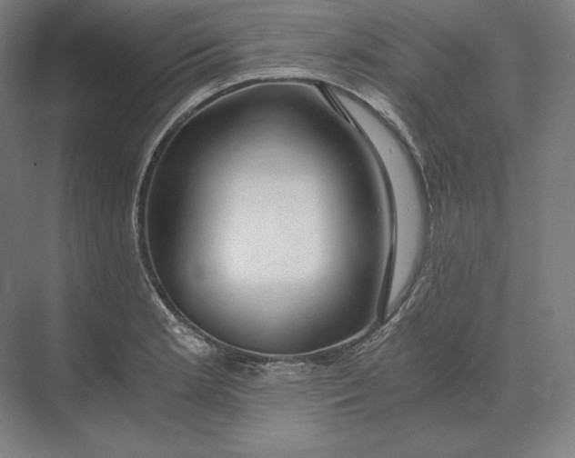 X0000073981181200609111800