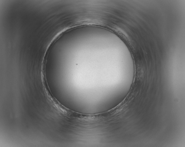 X0000073981182200609111800