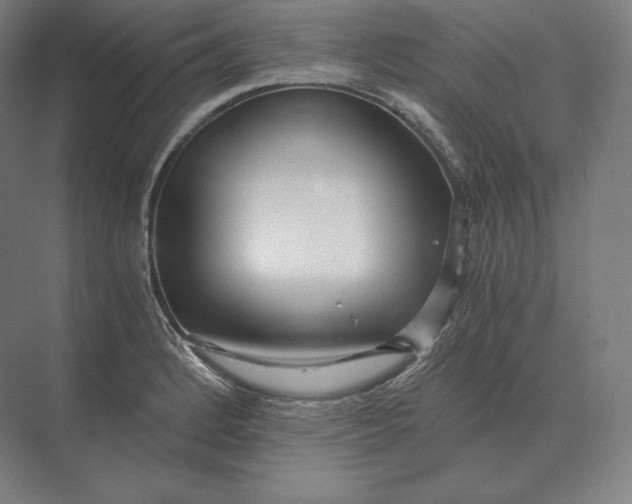 X0000073981184200609111800