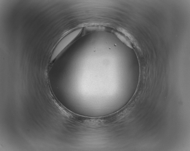 X0000073981185200609111800