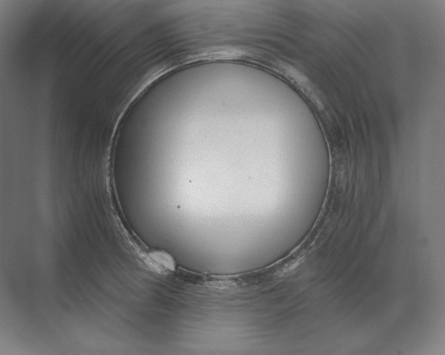 X0000073981186200609111800