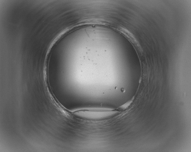 X0000073981188200609111800