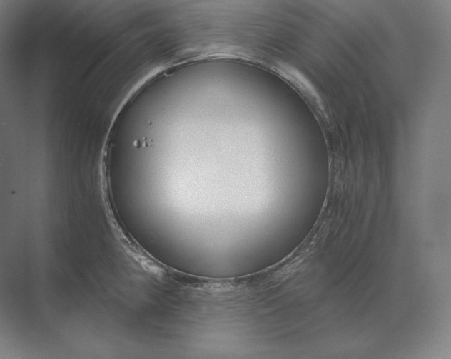 X0000073981190200609111800