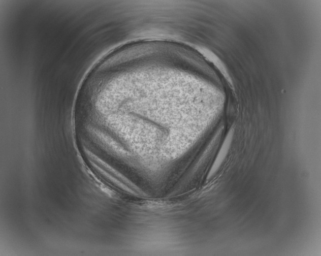 X0000073981191200609111800