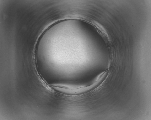 X0000073981192200609111800