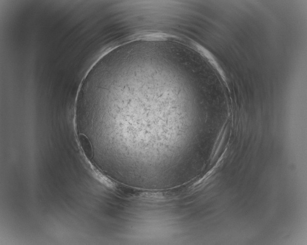 X0000073981194200609111800