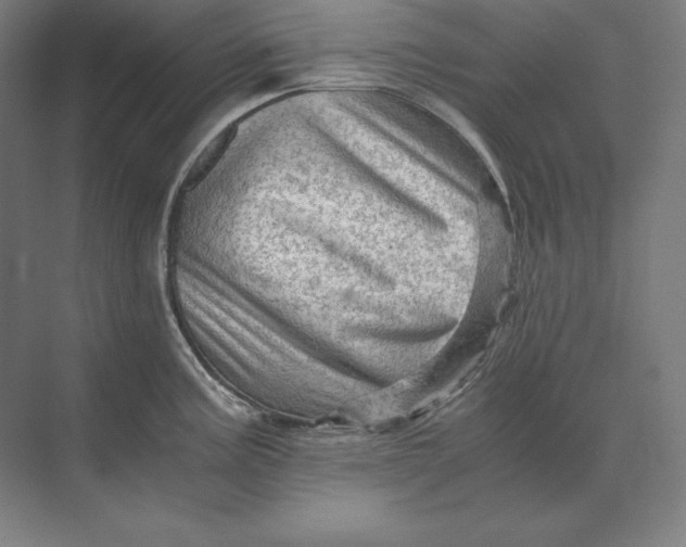 X0000073981195200609111800